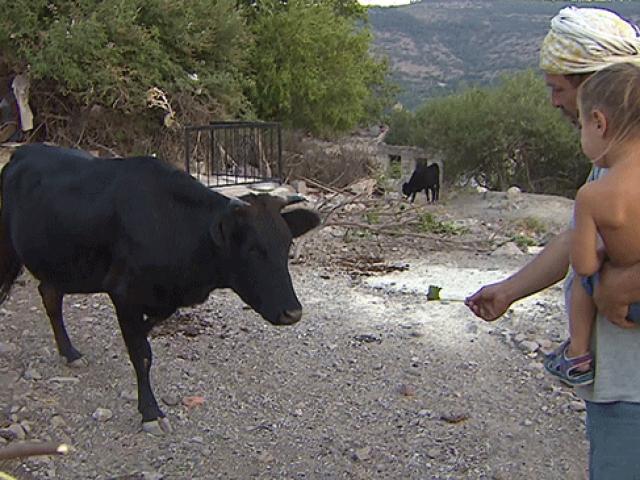 İzmir'de imece evine yoğun ilgi