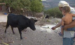 İzmir'de imece evine yoğun ilgi