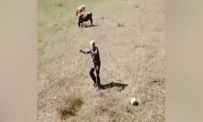 Hayatında ilk kez bir drone ile karşı karşıya geldi