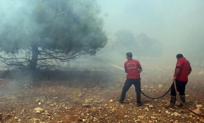 Şanlıurfa Göbeklitepe yakınlarında orman yangını