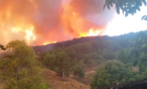 Kastamonu'da 20 dönümlük alan kül oldu