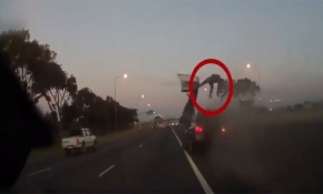 Emniyet kemerinin önemi video ile anlatıldı