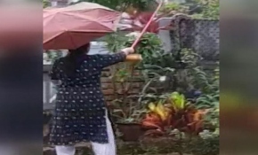 Hindistan'da sokakları yılanlar bastı