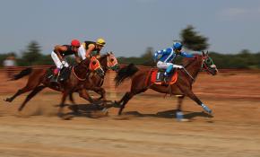 Yarışta birinci gelen atın ayağı kırıldı