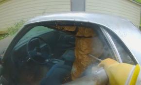 Terk edilmiş aracın içinden dev arı yuvası çıktı