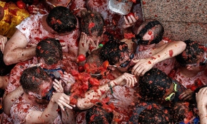 Binlerce insan İspanya'nın "La Tomatina" festivalinde bir araya geldi