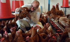 60 tavukla başladı, köy tavukçuluğunu canlandırdı