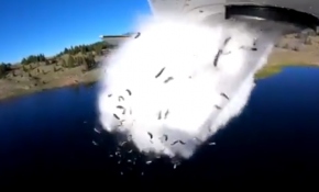 Yüksek dağ göllerine uçakla alabalık bıraktılar