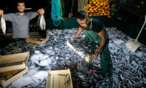 Balıkçılar 'virabismillah' dedi