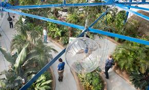 ABD'de 40 bin dolarlık böcek soygunu