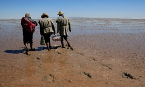 İklim değişikliğinin tehdit ettiği kabile: Uru
