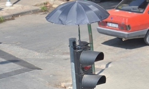 İzmir'de direğe yuva yapan kumruya şemsiyeli koruma