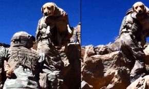 Terör operasyonlarında Mehmetçiğin sadık dostu: "Yay" İkiyaka Dağları'nda