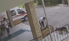 Yaralı köpek 112'ye sığındı