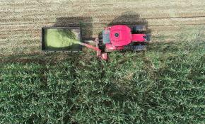 “Milli Tarım Yerli Tohum Deneme Ekimleri” projesinde ilk mısır hasadı yapıldı