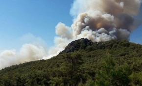 Antalya'da orman yangını