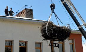 Yıkılacak binanın çatısındaki leylek yuvası taşındı