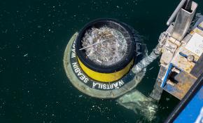 Yüzen çöp kutusu Seabin deniz ve gölleri temizleyecek