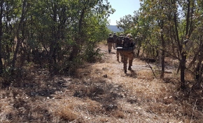 Diyarbakır'da terör operasyonu