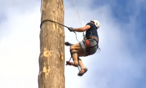 İngiltere'de 25 metrelik ahşap direğe en kısa sürede çıkmak için yarıştılar