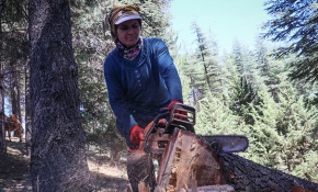 Tahtacı Ayşe Çakır zorlu mesleğini ormanda sürdürüyor