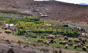 Terörden arındırılan köyde artık huzur var