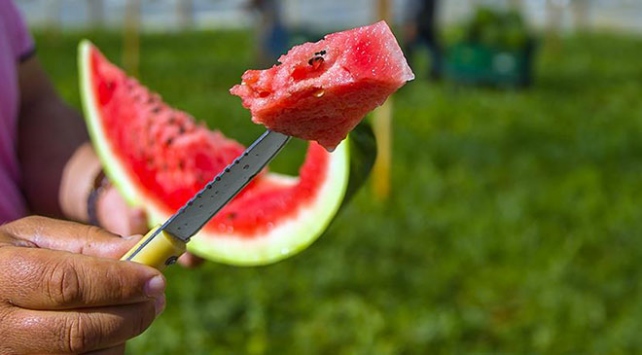 Eylülde en fazla karpuzun fiyatı arttı