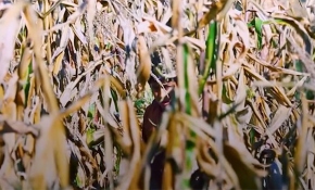 TRT World Citizen Ödülleri bu yıl ilk kez verilecek