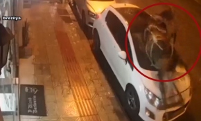 Başıboş at, park halindeki otomobile çarptı