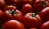 Eylül ayında fiyatı en çok artan ürün domates oldu