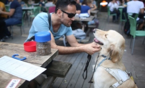 Görme engellilerin gören gözleri: Rehber köpekler