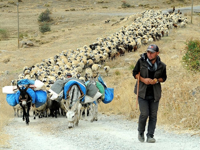 Göçerlerin Şanlıurfa'ya zorlu dönüşü