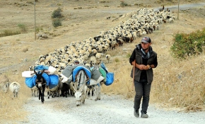 Göçerlerin Şanlıurfa'ya zorlu dönüşü