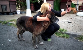 Yedikule Hayvan Barınağındaki canlılar saygı, sevgi ve sıcak bir yuva bekliyor