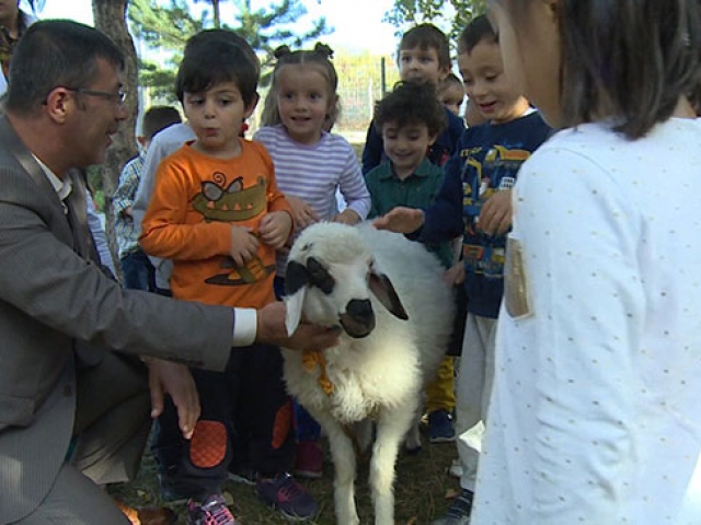 Erzurum'da kuzulu çocuk kütüphanesi