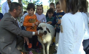 Erzurum'da kuzulu çocuk kütüphanesi
