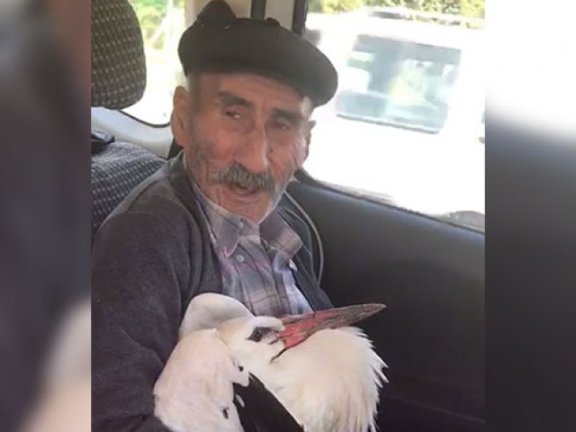 Yolda yaralı halde bulduğu leyleğe sahip çıktı