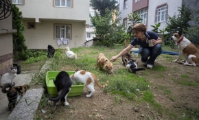 Hayatını evinde beslediği 50 sevimli dostuna adadı