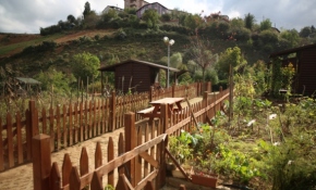 İstanbulluların hayal ettiği yaşam: Hobi bahçesi