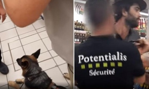 Fransa'da görme engelli adam köpeğiyle birlikte marketten dışarı atıldı