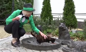 Rusya'da sıra dışı bir iş: Kedi şefliği