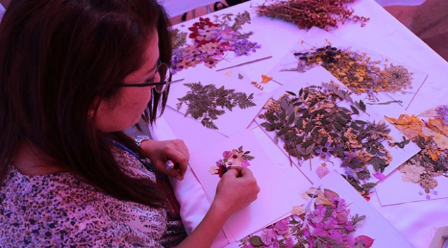 Kitapların arasında kuruttuğu bitkileri yaprak sanatına dönüştürdü