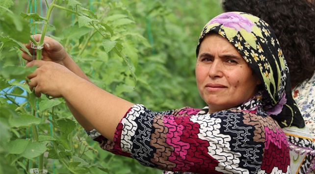 Seracı kadın hemcinslerine ilham kaynağı oluyor