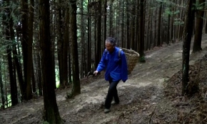 33 yılını ağaç dikmeye adadı, tek isteği gelecek nesillere yeşil bir dünya bırakmak