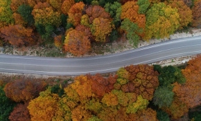 Sonbahar Uludağ'ı rengarenk ağaçlarla süsledi