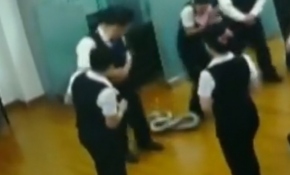 Banka çalışanlarının başına 1,5 metrelik piton düştü