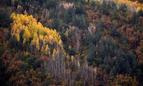 Eşsiz doğasıyla öne çıkan Gümüşhane'de sonbahar renkleri
