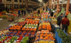 "Hal yasası" ile köklü dönüşüm olacak