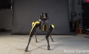 Boston Dynamics'in robot köpeğinden dans performansı