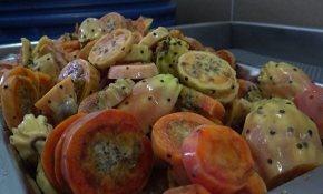 Afyonkarahisar'da kaktüs meyvesinin sirkesi üretildi